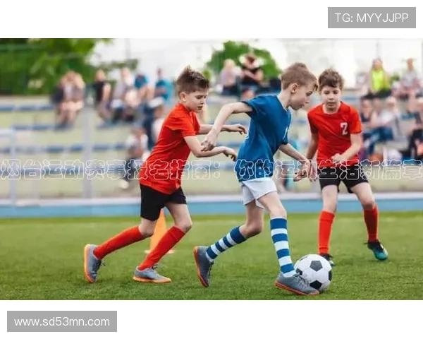 利用vsport体育的丰富资源，提升你的运动技能和体育知识水平